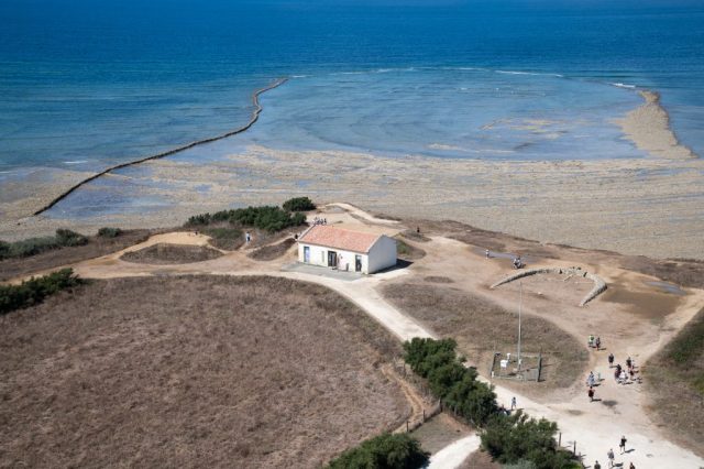 2026 08 25 04 DyoniVal Journee a Chassiron Visite de lecluse 025 1024x681